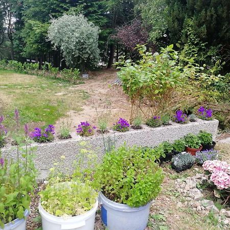 Robinhill Garden 호텔 포레스 외부 사진
