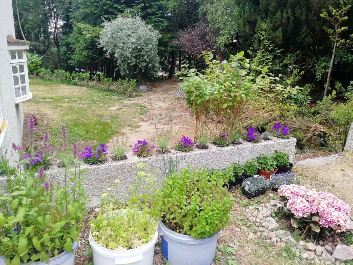 Robinhill Garden 호텔 포레스 외부 사진